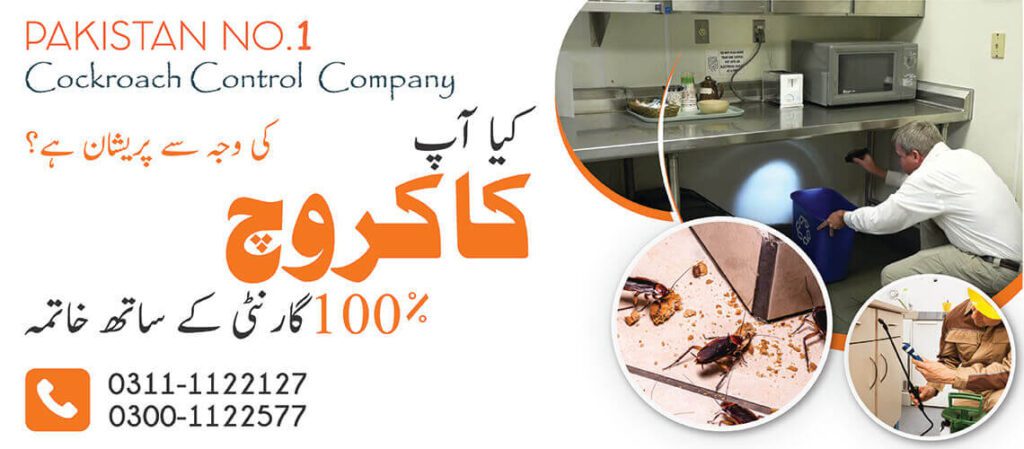 Cockroach Control Services in Islamabad