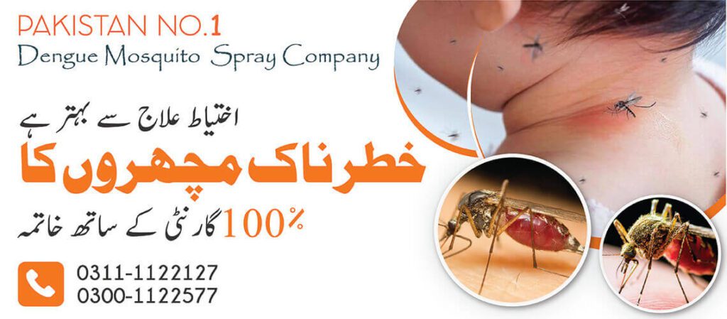 Dengue spray services in Islamabad 