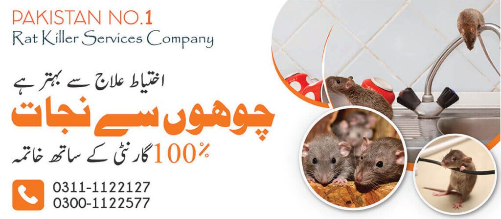 Rat Killer Services in Islamabad